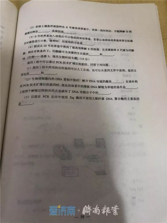 高中文综答题模板最新,高中文综答题模板最新详解与应用指南