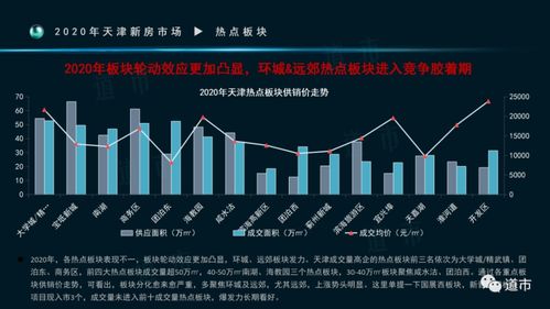 2024年12月11日 第11页