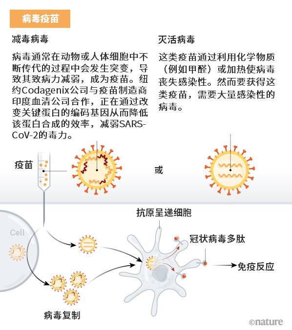 新冠病毒最新药物疫苗,新冠病毒最新药物疫苗研究与应用