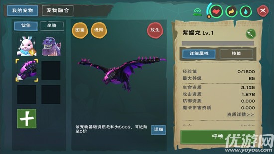 创造与魔法最新兑换码啊,探索创造与魔法，最新兑换码的神秘世界