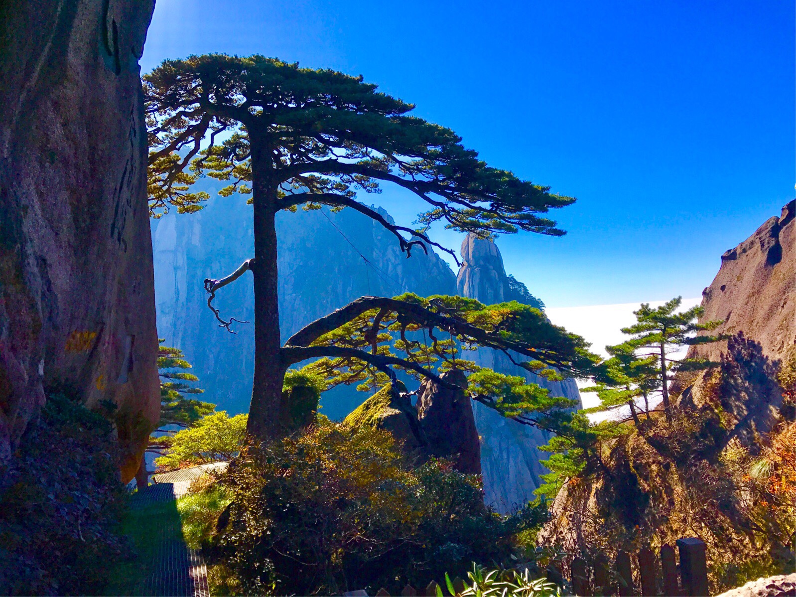 黄山风景图片最新,黄山风景图片最新，自然之美的永恒记录