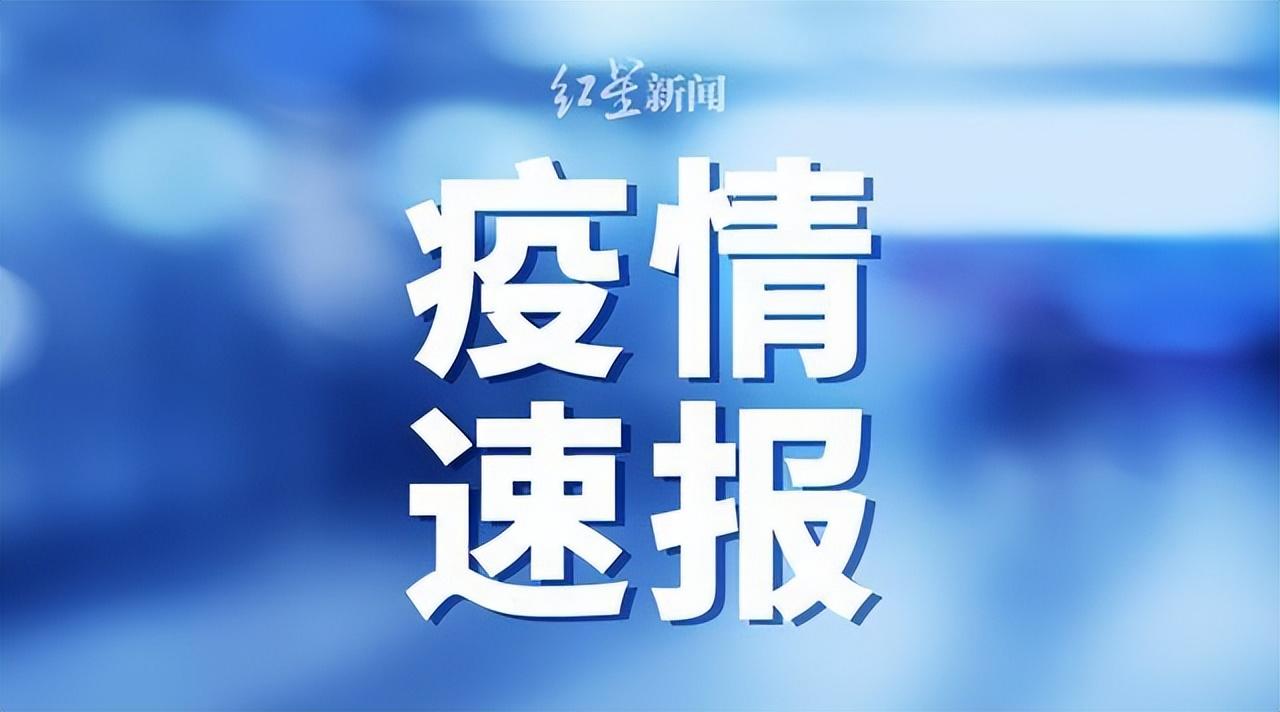 重庆最新新冠确诊病例,重庆最新新冠确诊病例及其防控措施