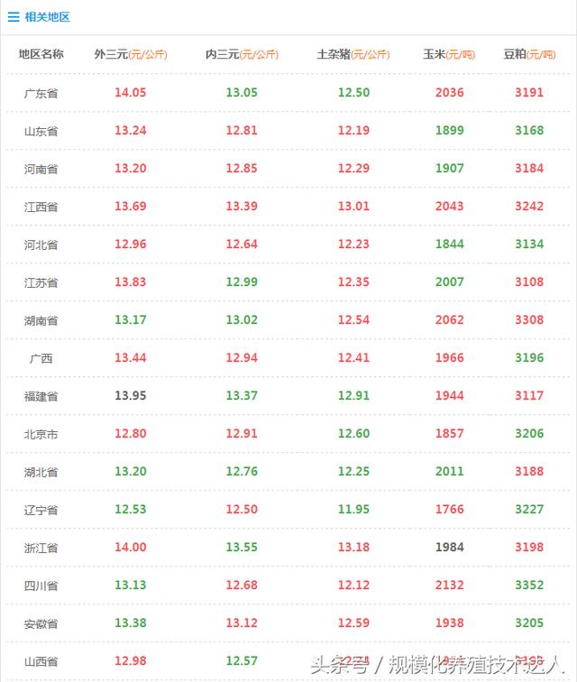 今日猪价最新价格网,今日猪价最新价格网——洞悉市场动态，掌握猪价走势