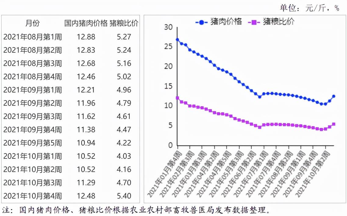 猪肉价格最新价今天价,猪肉价格最新动态，今天的市场行情分析