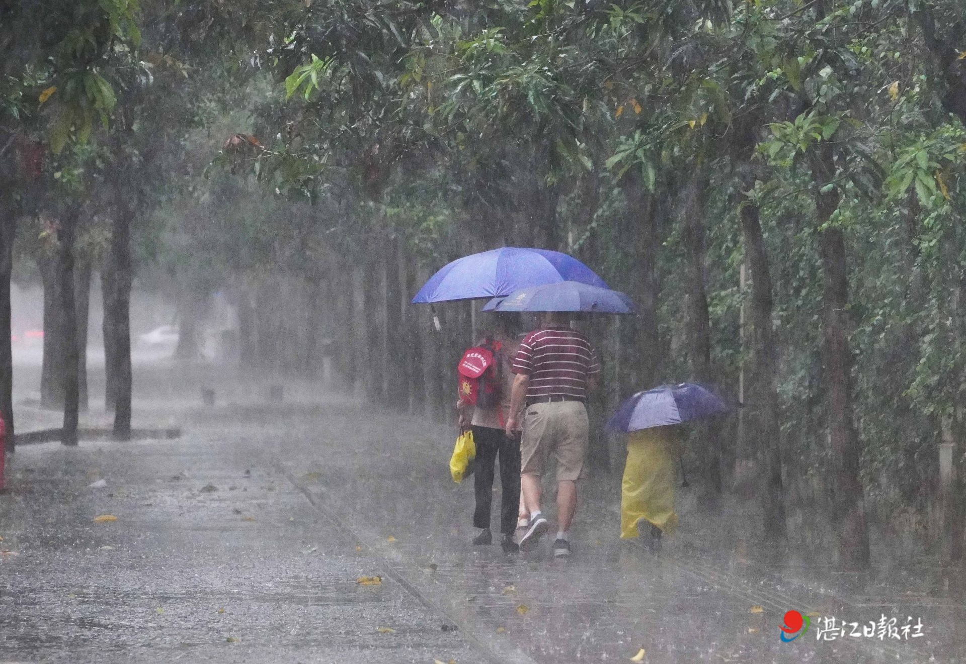 最新一轮大暴雨,最新一轮大暴雨的影响与应对