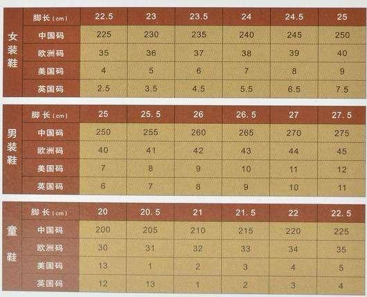 2024年12月17日 第23页