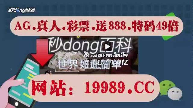 2024澳门天天开好彩资料?,揭秘澳门天天开好彩背后的真相与挑战