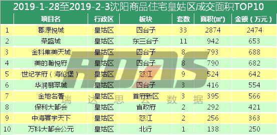 新奥门开奖结果 开奖结果,新澳门开奖结果，探索开奖世界的神秘面纱