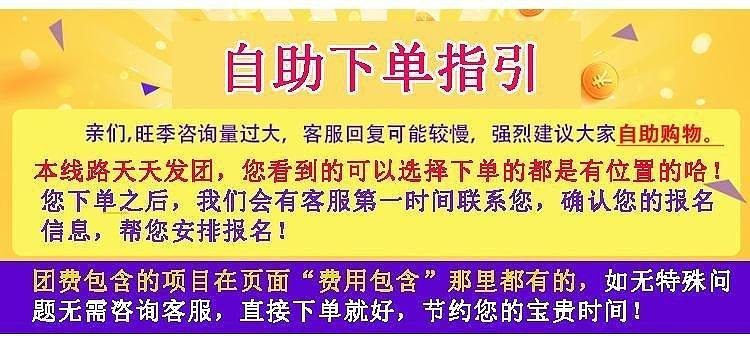 2004年澳门天天开好彩大全,澳门天天开好彩背后的违法犯罪问题探讨