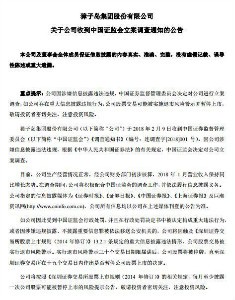 精准三肖三期内必中的内容,精准三肖三期内必中的内容，揭示犯罪预测与预防的复杂性