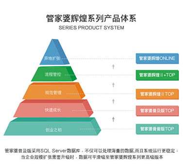 澳门管家婆100%精准,澳门管家婆，揭秘精准预测背后的秘密