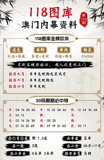 二四六天天彩246cn,二四六天天彩与246cn的魅力世界