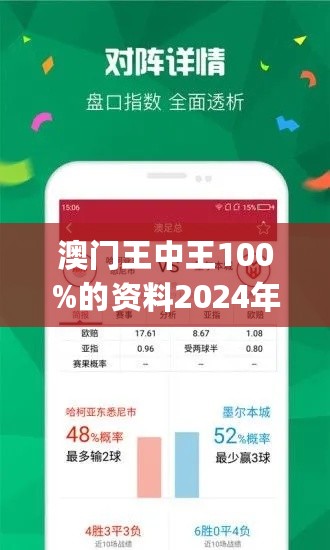 2024香港王中王,2024香港王中王，期待与传奇的交汇