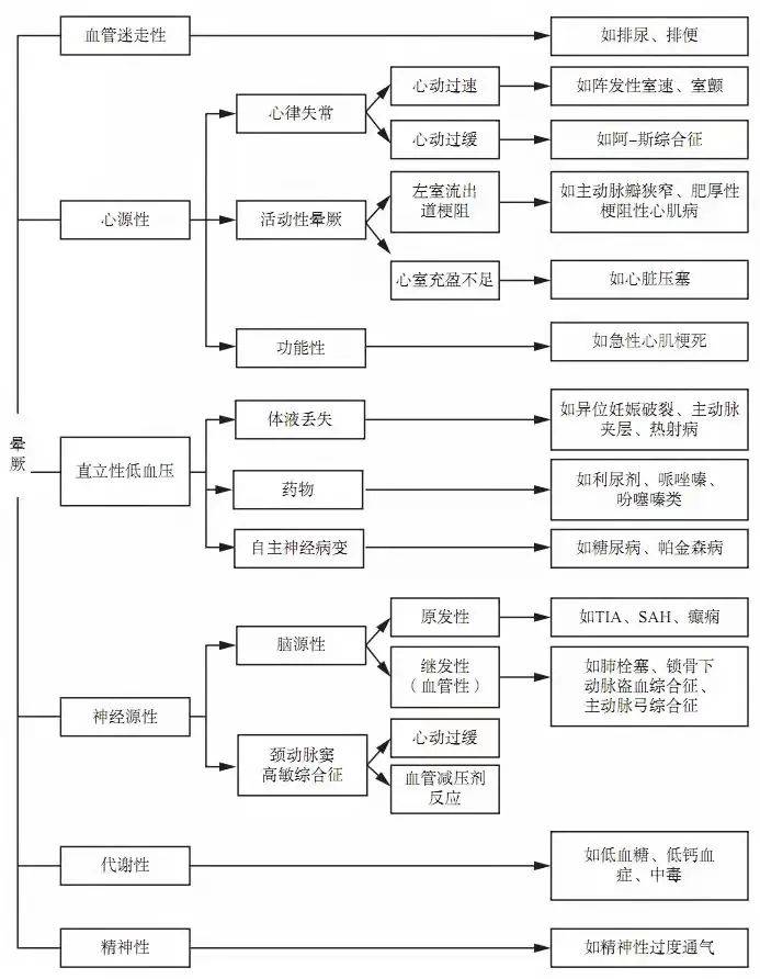 777778888王中王最新,探索数字背后的秘密，揭秘王中王的最新故事——777778888的独特意义