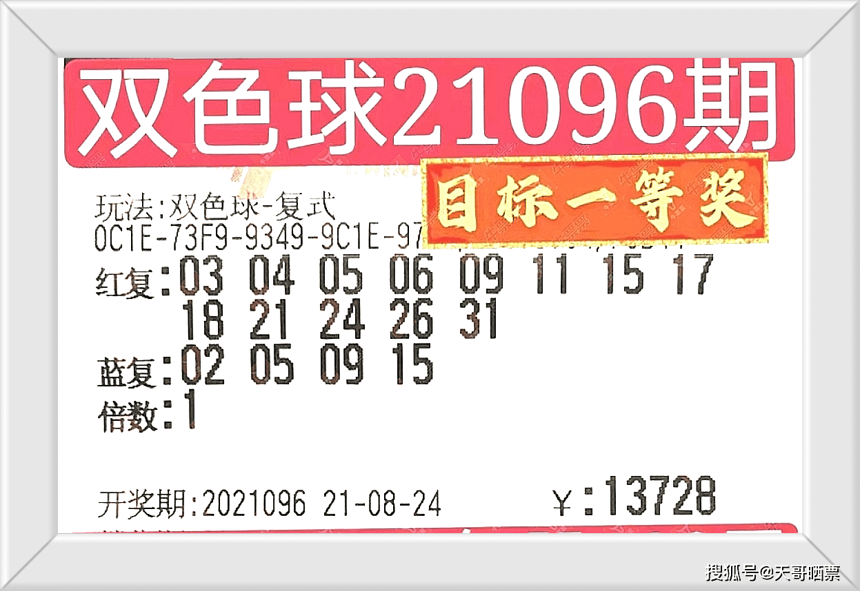 236767澳门今晚开什么号码,澳门今晚彩票号码预测，探索数字背后的奥秘与期待