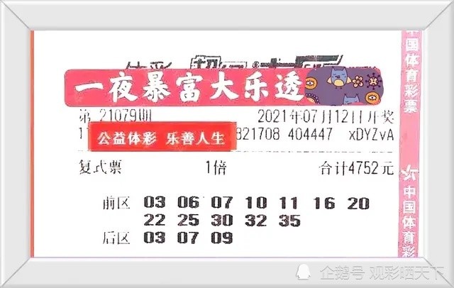 4949澳门今晚开奖结果,澳门今晚彩票开奖结果揭晓，探索数字背后的期待与梦想